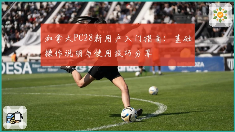 加拿大PC28新用户入门指南：基础操作说明与使用技巧分享