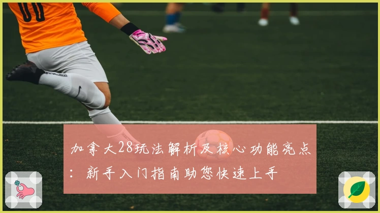 加拿大28玩法解析及核心功能亮点:新手入门指南助您快速上手
