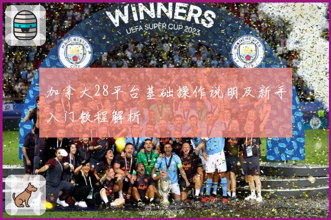加拿大28平台基础操作说明及新手入门教程解析