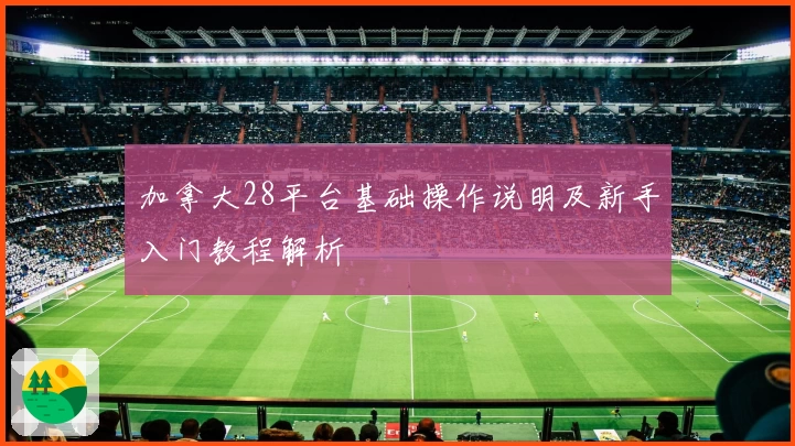 加拿大28平台基础操作说明及新手入门教程解析