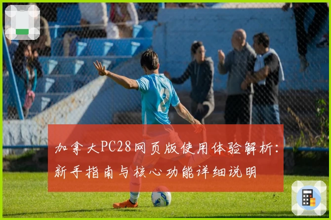 加拿大PC28网页版使用体验解析：新手指南与核心功能详细说明