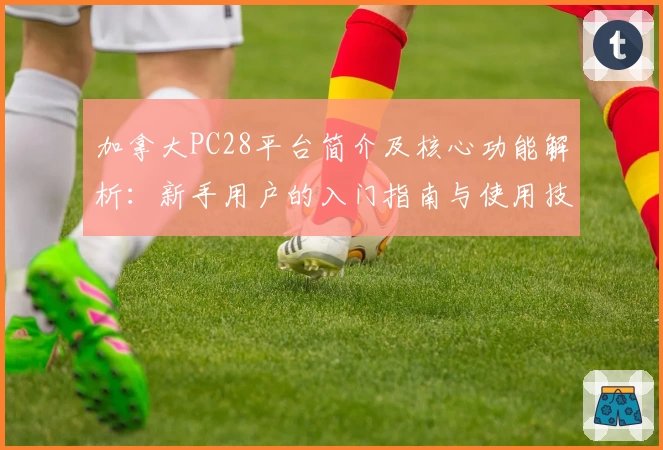 加拿大PC28平台简介及核心功能解析：新手用户的入门指南与使用技巧分享