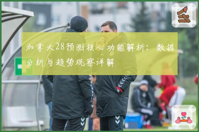 加拿大28预测核心功能解析：数据分析与趋势观察详解