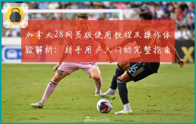 加拿大28网页版使用教程及操作体验解析：新手用户入门的完整指南